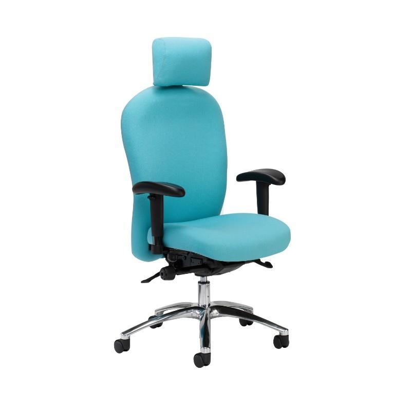 operator chair Adjustable Arms &amp; Headrest / Polished Aluminium Posture 150 Backcare Operator Chair Adjustable Arms &amp; Headrest / Polished Aluminium